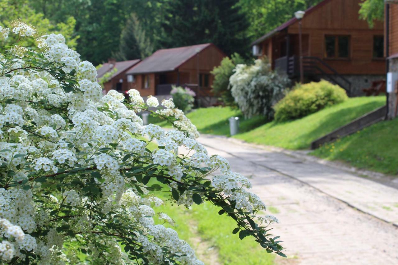 Zloty Potok Resort Exterior foto